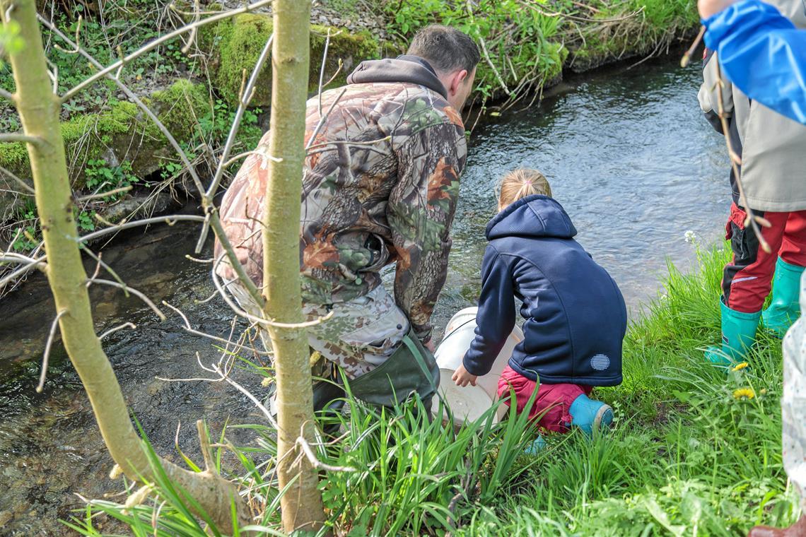 Mit dem Leben im Wasser auf Tuchfühlung Tobias Veitinger geht mit den Kindern an eine flache Stelle am Hörschbach, wo sie die kleinen Fische losflitzen lassen können.