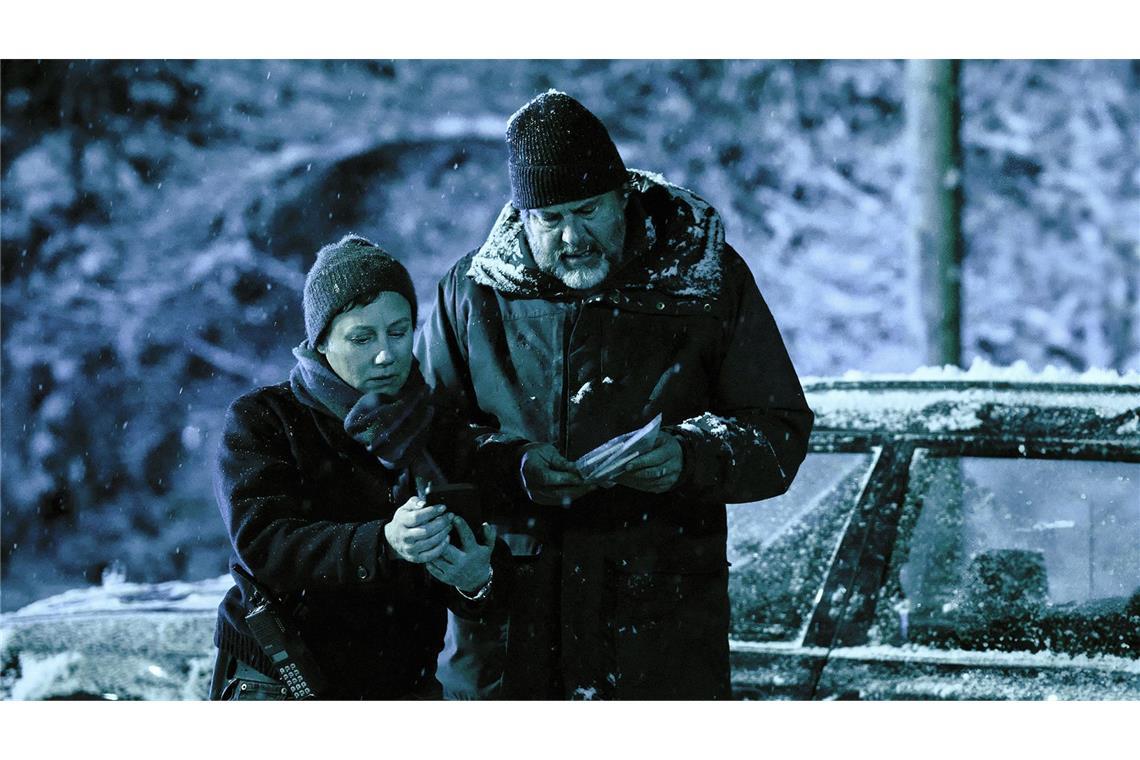 Tobler (Eva Löbau) und Berg (Hans-Jochen Wagner) suchen ein traumatisiertes Mädchen im Wald.