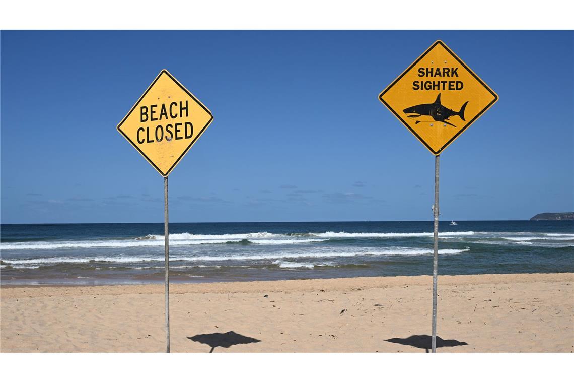 Tödliche Haiangriffe sind selten in Australien - dieses Jahr gab es aber schon vier. (Archivbild)