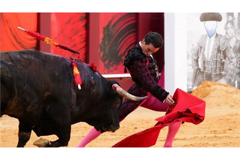 Tödlicher Vorfall bei den Vorbereitungen für einen Stierkampf in Erinnerung an Pablo Picasso in Spanien. (Symbolbild)