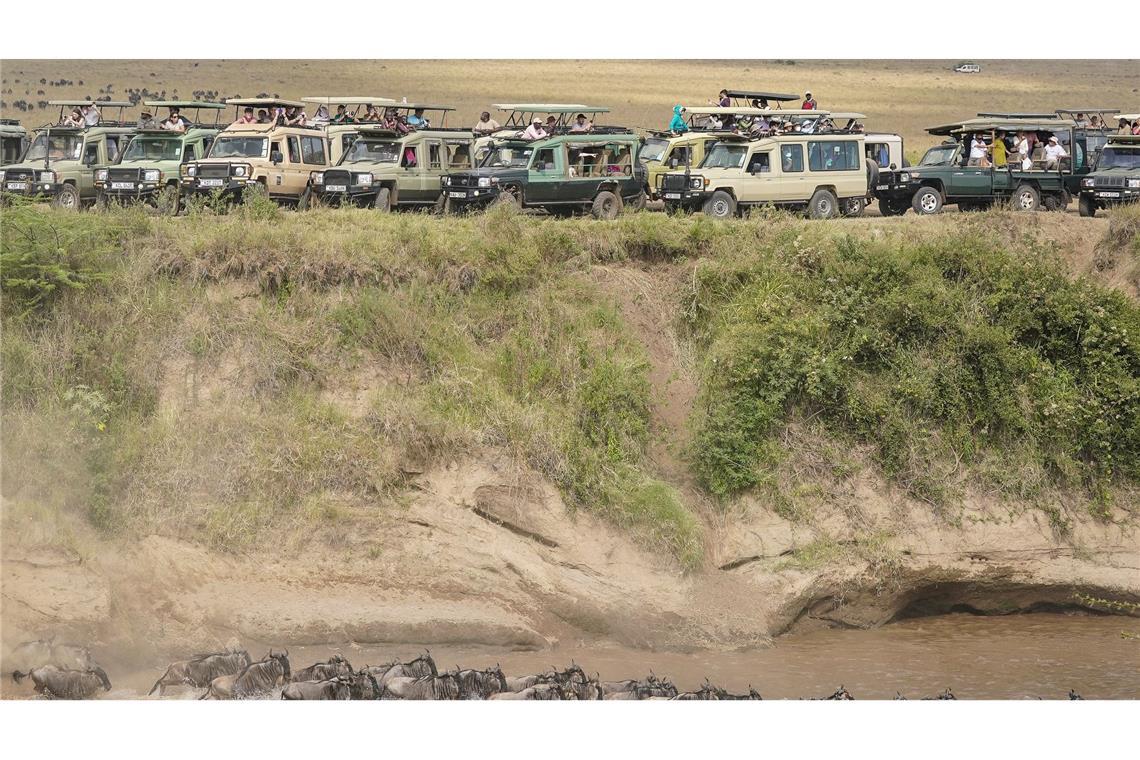 Spektakuläre Wanderung der Gnus - Sorge vor Übertourismus Touristen versammeln sich in der Nähe des Mara-Flusses im Masai Mara Nationalreservat, um die alljährliche Wanderung von rund 1,5 Millionen Gnus zu beobachten.