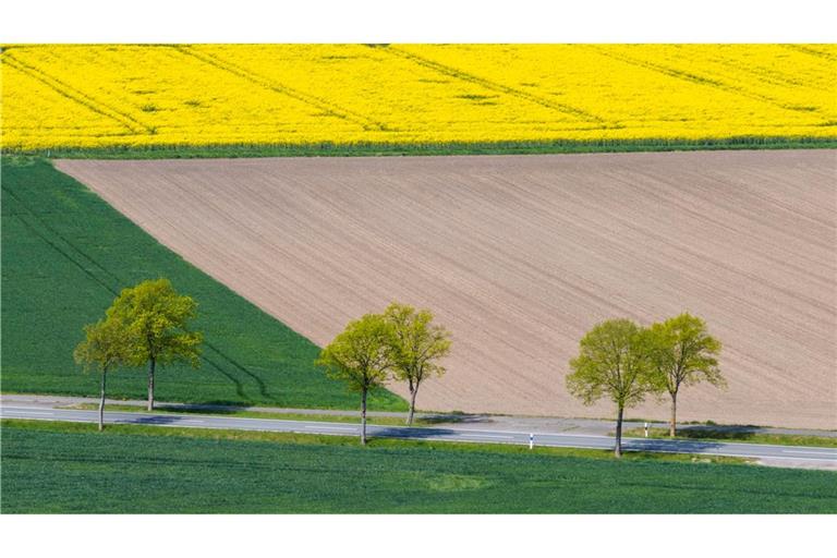 Trockene Landschaft in Niedersachsen