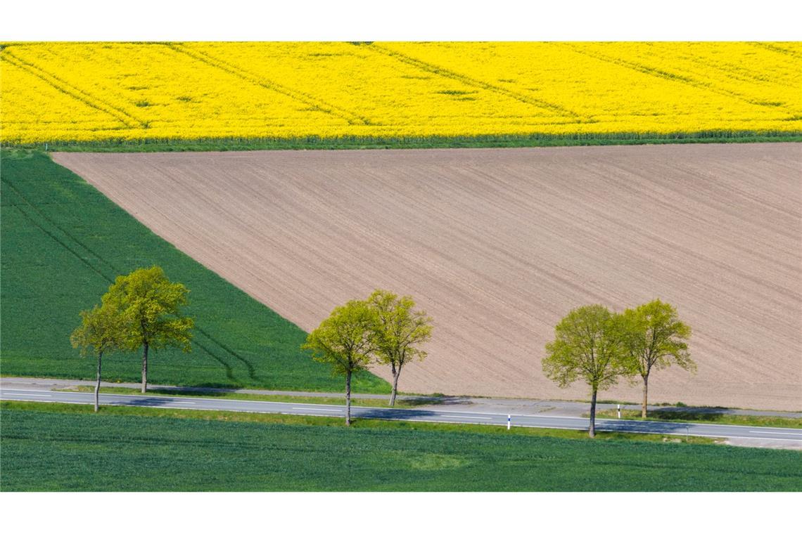 Trockene Landschaft in Niedersachsen