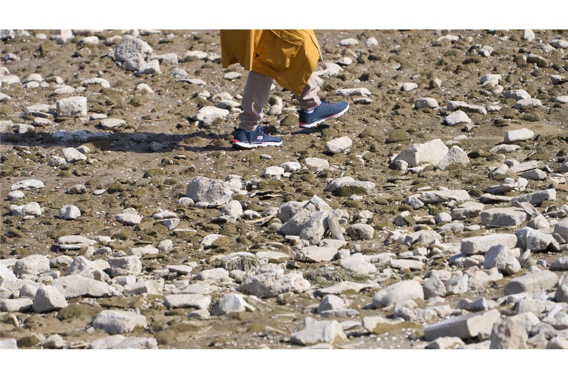 Bilder des Tages Trockenheit: Wie hier bei Osterspai ist der Wasserstand des Rheins für die Jahreszeit bereits an vielen Stellen sehr niedrig. Frachtschiffe können dadurch nicht mehr voll beladen werden