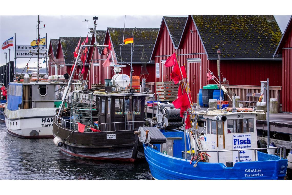 Kaum neue Einschränkungen für Ostsee-Fischer - Backhaus froh Trotz Sorgen um Dorsch und Hering: Für die deutschen Ostsee-Fischer bleibt fast alles beim Alten. (Symbolbild)