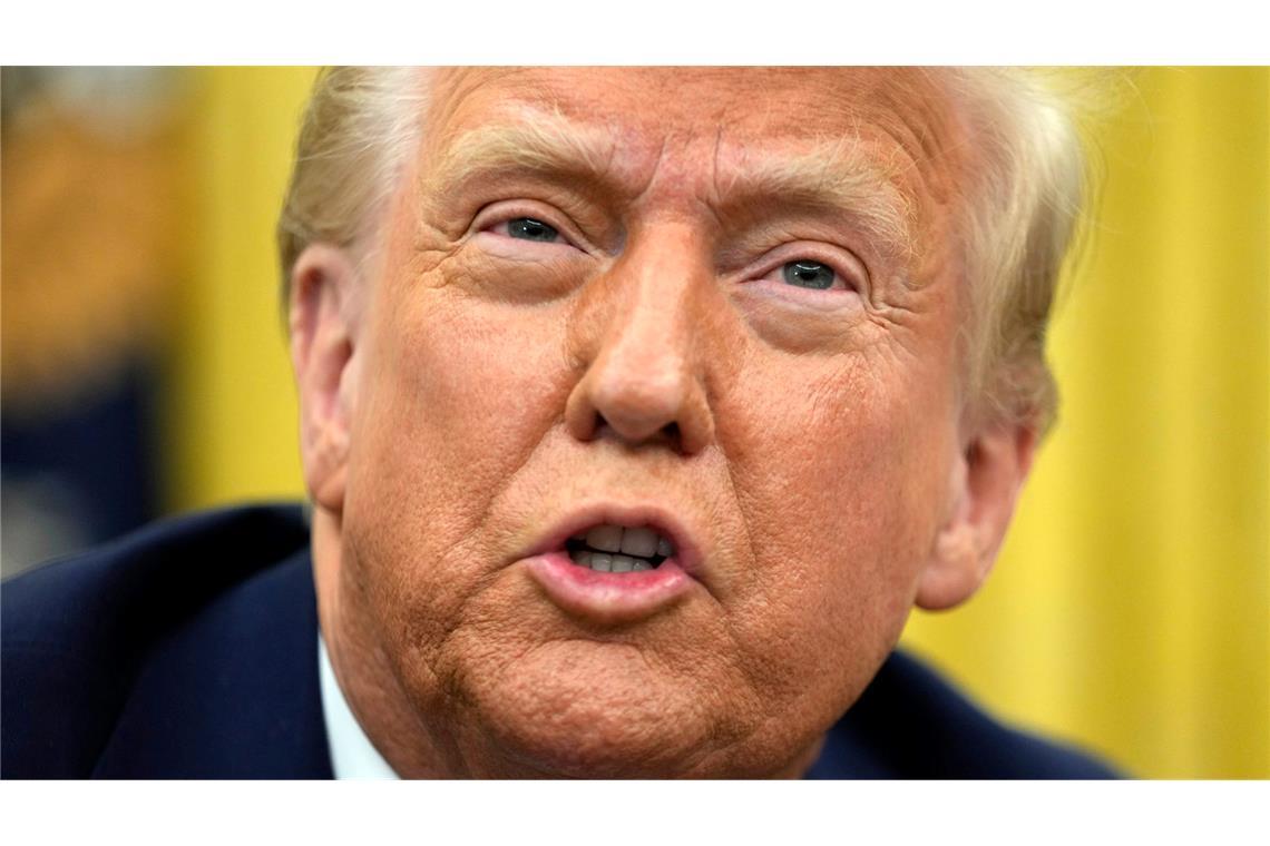 Trumps erste Abschiebungen und das Spiel mit der Angst Trump hatte im Wahlkampf das "größte Abschiebeprogramm der amerikanischen Geschichte" versprochen.