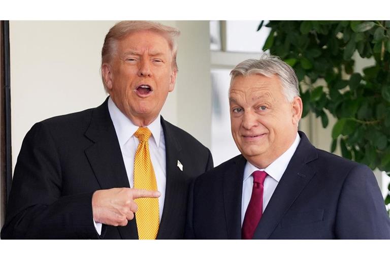 Trump und Orban sind in vielen Fragen einer Meinung.
