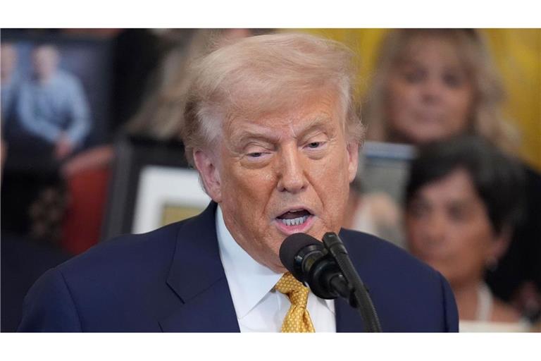 Trump will einige Unterlagen zum Fall Epstein veröffentlichen.