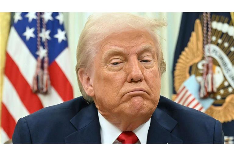 Trump will seine Pläne am Mittwoch im Rosengarten vorstellen.