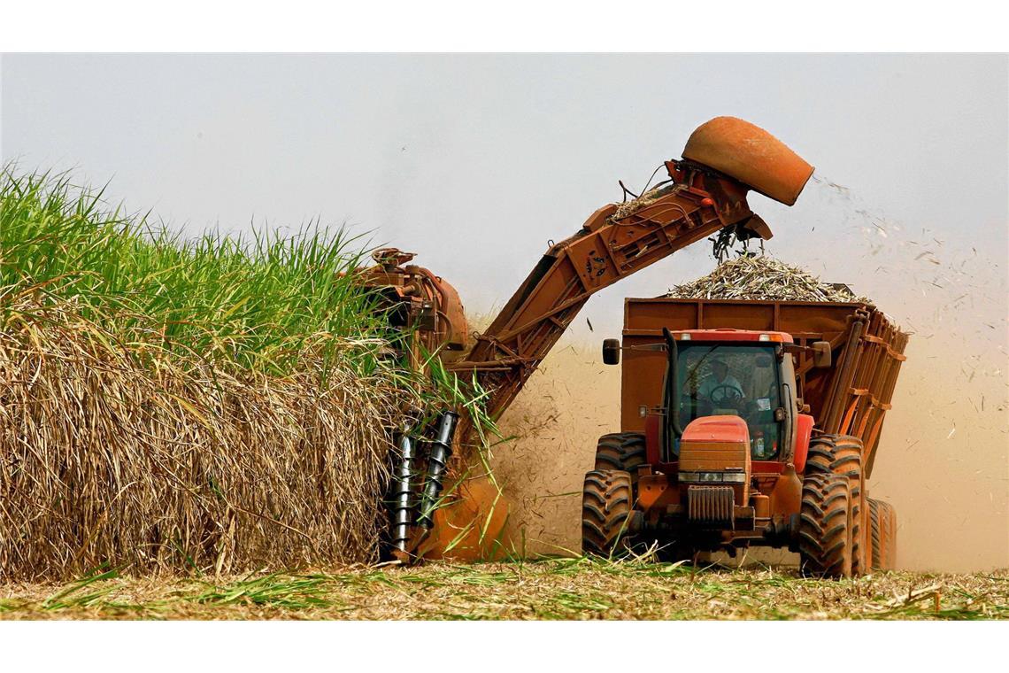 EU-Pläne zum Verbot von Ethanol alarmiert die Pharma-Branche Über 80 Prozent der deutschen Bio-Ethanol-Produktion kommt aus Futtergetreide.