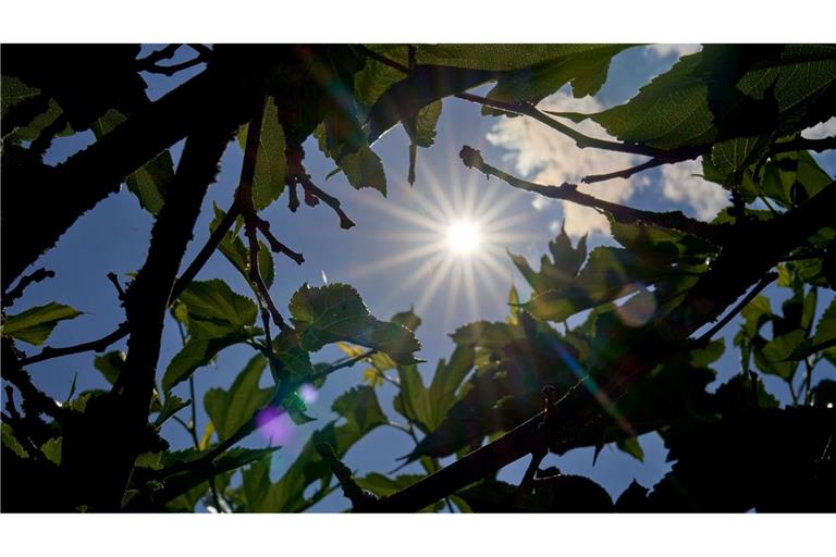 Über Temperaturen um die 30 Grad kann sich vor allem der Süden in den kommenden Tagen freuen. (Archivbild)