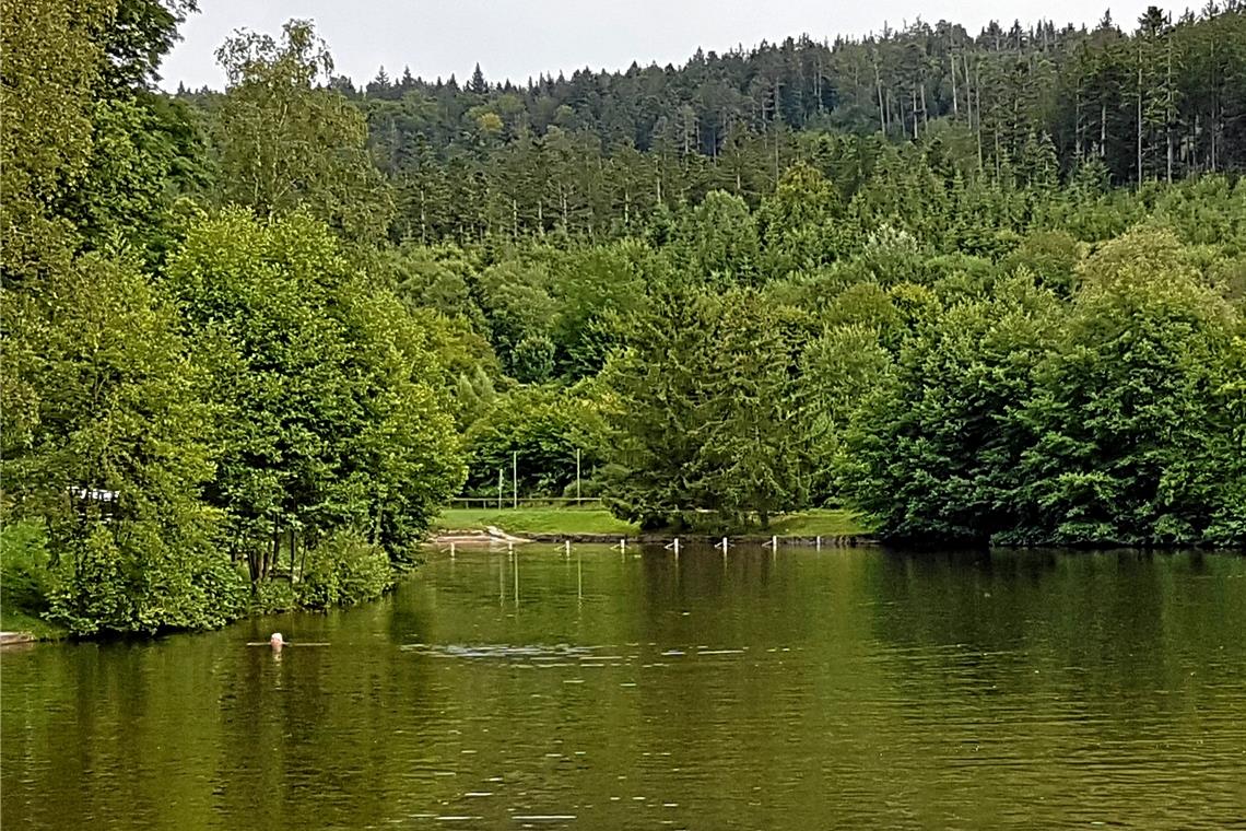 Überschaubarer Andrang: Durch das durchwachsene Wetter im Sommer war am Waldsee in Fornsbach wenig los. Foto: privat