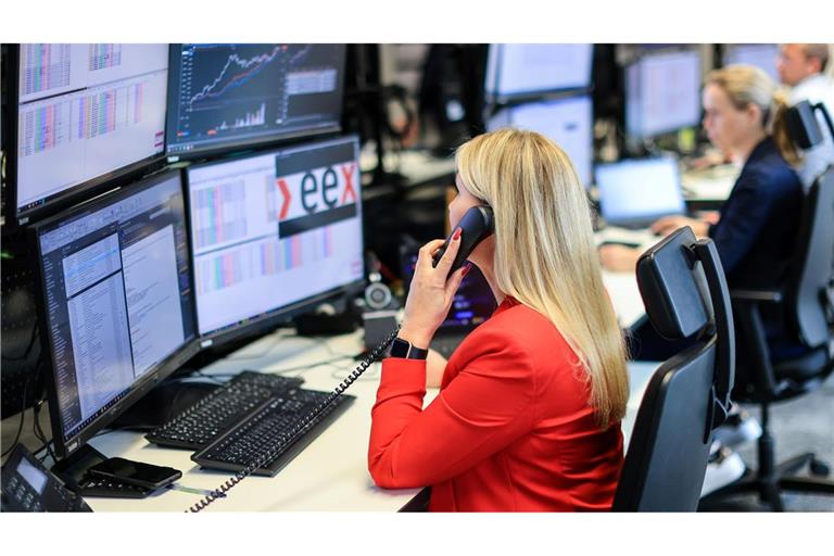 Überschuss an Wind- und Solarstrom lässt die Preise zeitweise ins Minus rutschen. (Archivbild)