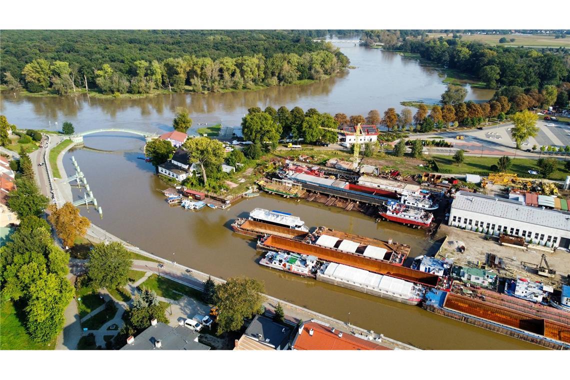 Klima 2024: Europa war extrem nass und trocken gleichzeitig Überschwemmungen der Oder in der Stadt Nowa Sol in der polnischen Woiwodschaft Lubusz.