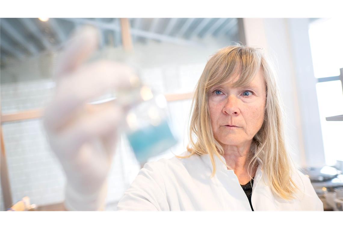 Labor: Manche Kleidung bei Shein mit Chemikalien belastet