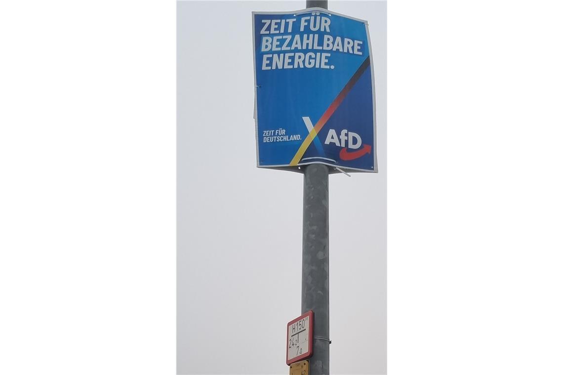Was sagen die Wahlplakate über die Programme der Parteien? Um bezahlbare Energie geht es der AfD insbesondere deshalb, weil das den Wirtschaftsstandort Deutschland stärke.