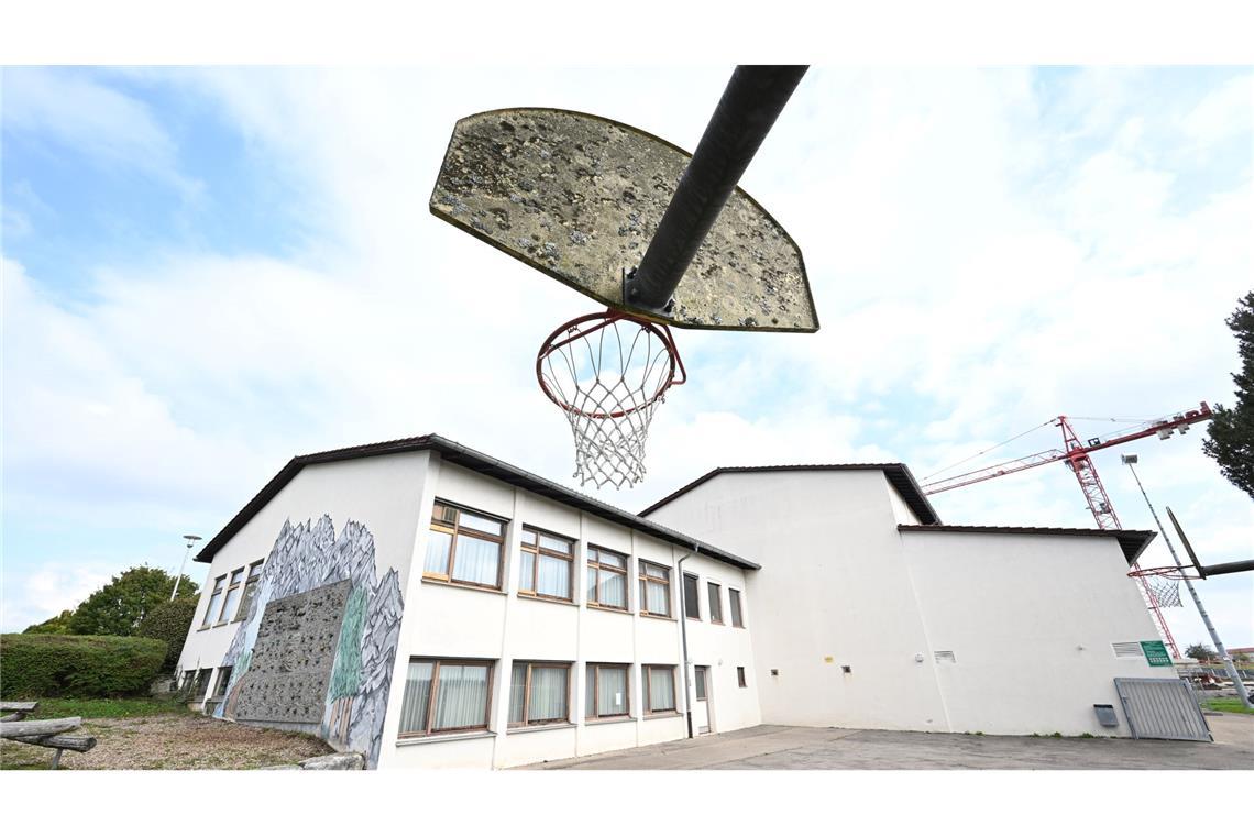 Steuerzahler-Schwarzbuch: Brücke ins Nichts und teure Tiere Um die Gemeindehalle in Kirchberg an der Murr abreißen zu dürfen, musste sich die Gemeinde erst um vier Fledermäuse kümmern.