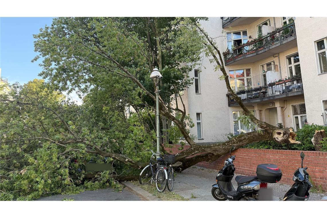 Um die Sturmschäden zu beseitigen, musste die Feuerwehr am Montagabend zu zahlreichen Einsätzen ausrücken.