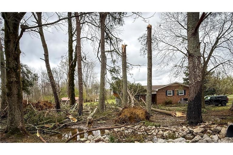 Umgestürzte und entwurzelte Bäume umgeben ein Haus in Lexington, Alabama.