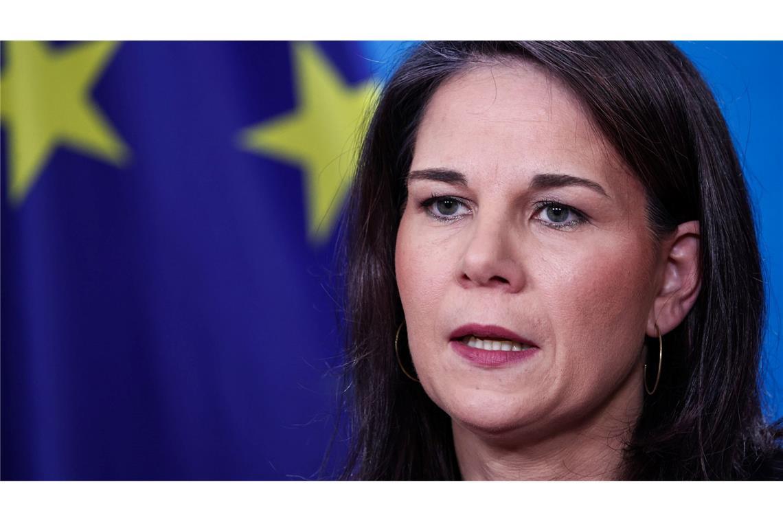 Baerbock erwartet auch von nächster Regierung Ukraine-Hilfe Unabhängig vom Wahlausgang müsse Deutschland der Ukraine weiter helfen, fordert Außenministerin Baerbock. (Archivbild)
