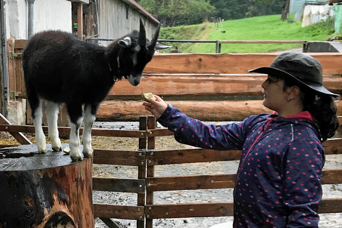 Tierische Abenteuer auf dem Wacholderhof