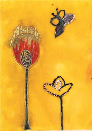 ...und dieser fidele Schmetterling vor gedecktem Tisch sind in der Galerie zu sehen.