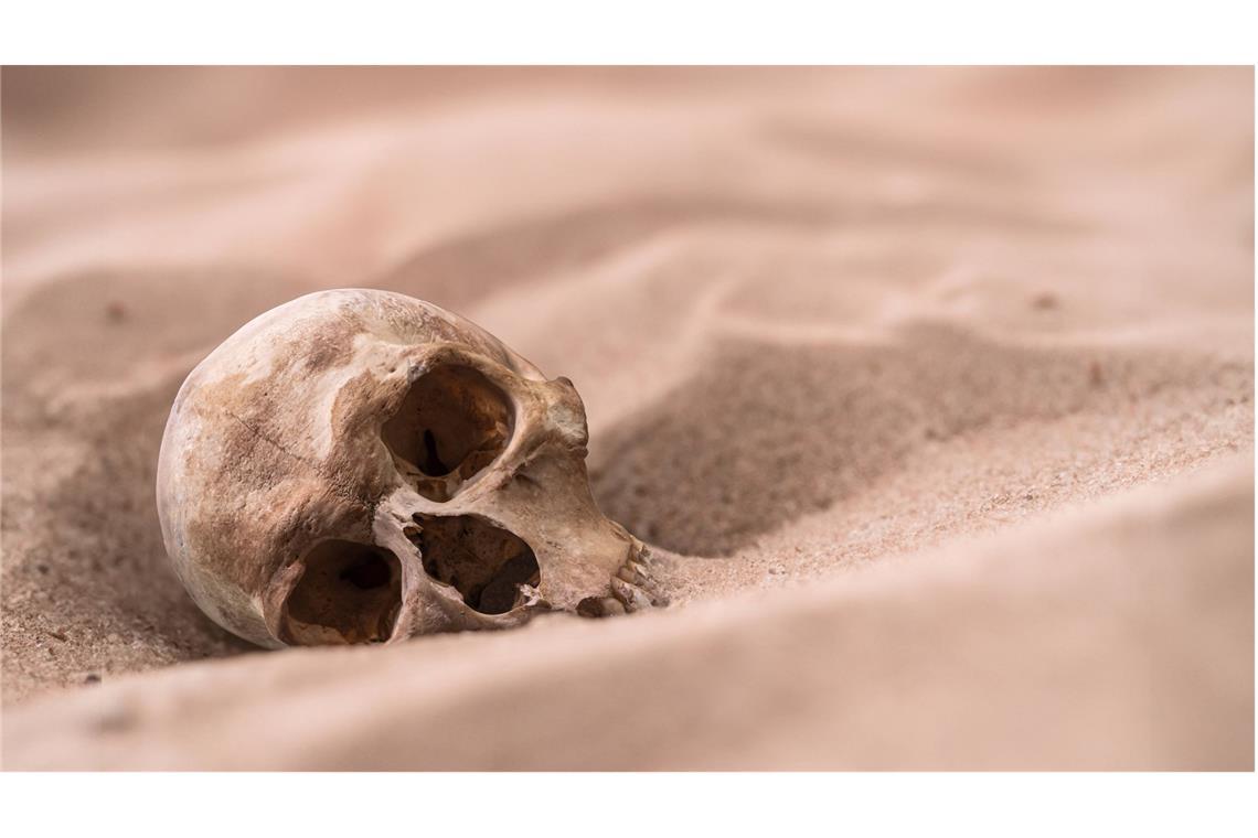 Kollapsologie: Das Ende kommt – nur wann? Und wenn unsere Zivilisation zusammenbrechen würde? Nicht in einigen Jahrhunderten, sondern noch zu unseren Lebzeiten? Werden von der Menschheit am Ende nur Fossilien übrig bleiben?