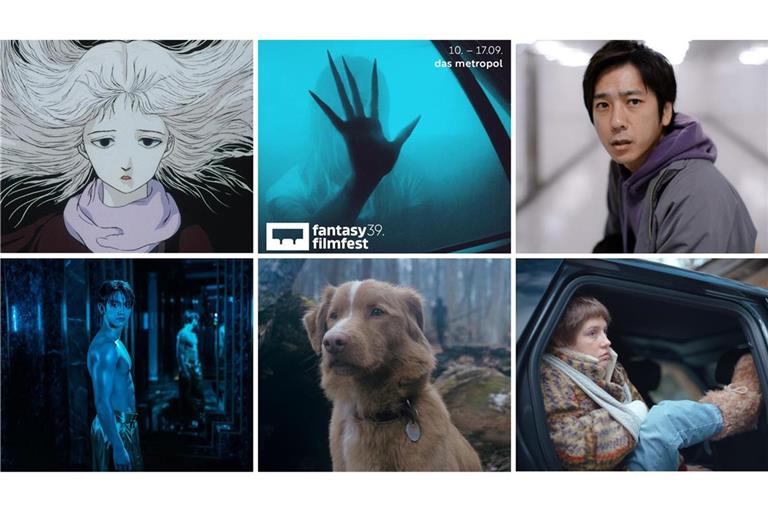 Unsere Tipps fürs Fantasy Filmfest (von links oben im Uhrzeigersinn): „Angel’s Egg“, „Exit 8“, „The Piano Accident“, „Good Dog“, „Hi-Five“.