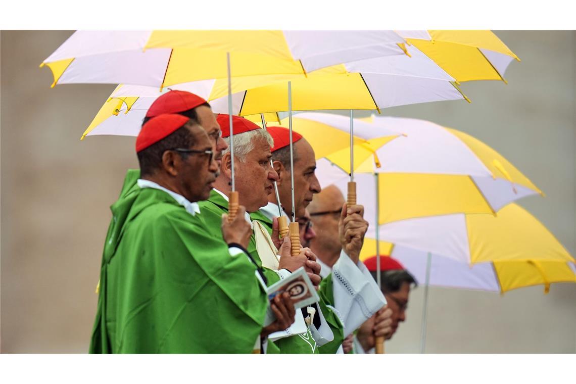 Bilder des Tages Unterm Schirm - Kardinäle feiern mit Papst Messe für Migranten und Missionare