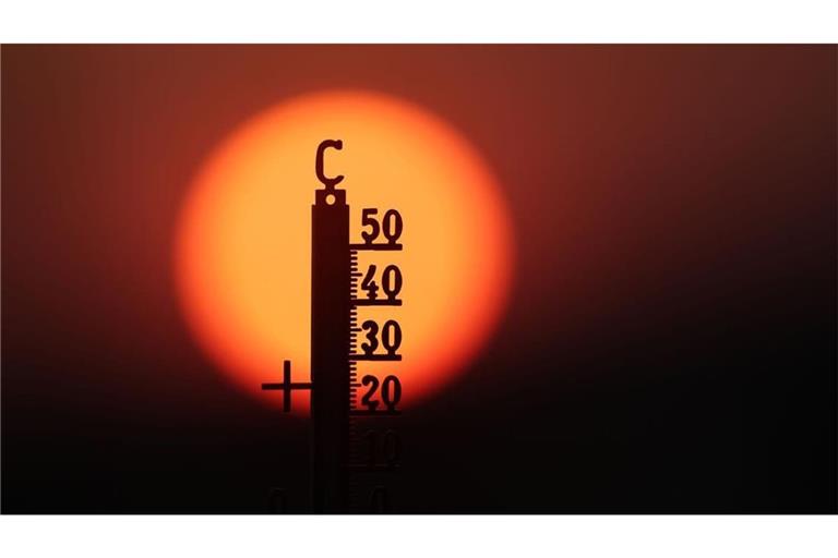 Ursache für die Rekordtemperaturen sind laut Copernicus die globale Erwärmung infolge der Verbrennung fossiler Brennstoffe sowie die rasch steigenden Meeresoberflächentemperaturen im äquatorialen Pazifik, die mit einer starken El-Niño-Lage zusammenhängen.