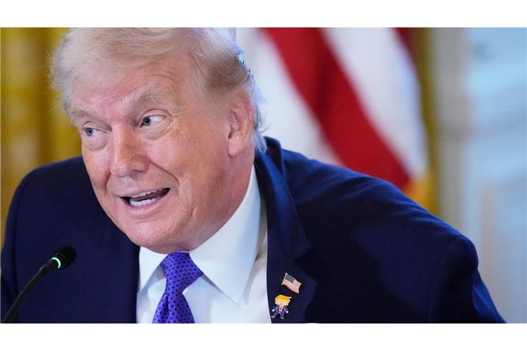 US-Präsident Donald Trump (Symbolbild).