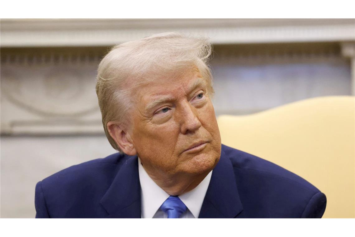 Trump will Englisch per Dekret zur Amtssprache der USA machen US-Präsident Donald Trump will Englisch noch am Freitag per Dekret zur Amtssprache der USA machen.