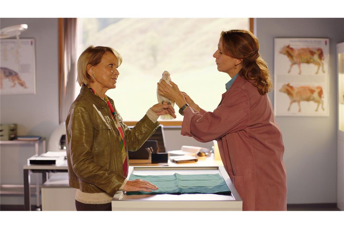 Uschi Glas als Gerlinde Patt und Doris Schretzmayer als Tierärztin Dr. Johanna Maiwald in einer Szene der Serie "Die Maiwald". Die Episode "Beziehungsweise" steht jetzt im ZDF-Streamingportal und wird am 2. April im ZDF ausgestrahlt.