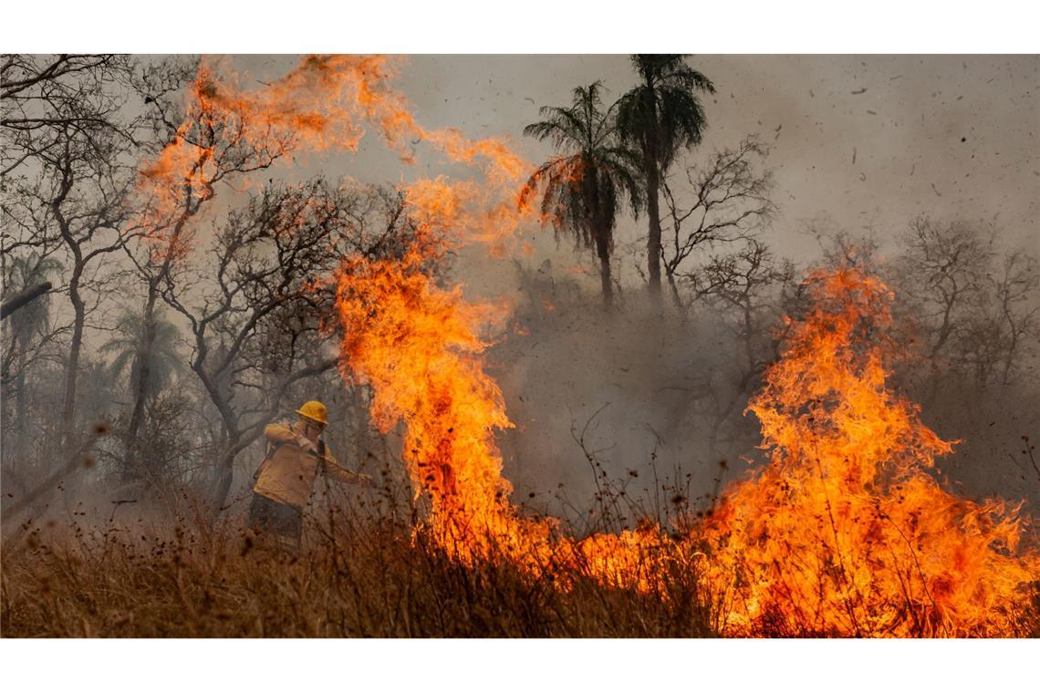 Amazonas verliert in 40 Jahren Fläche größer als Spanien Verheerende Waldbrände herrschten im Pantanal. (Archivbild)