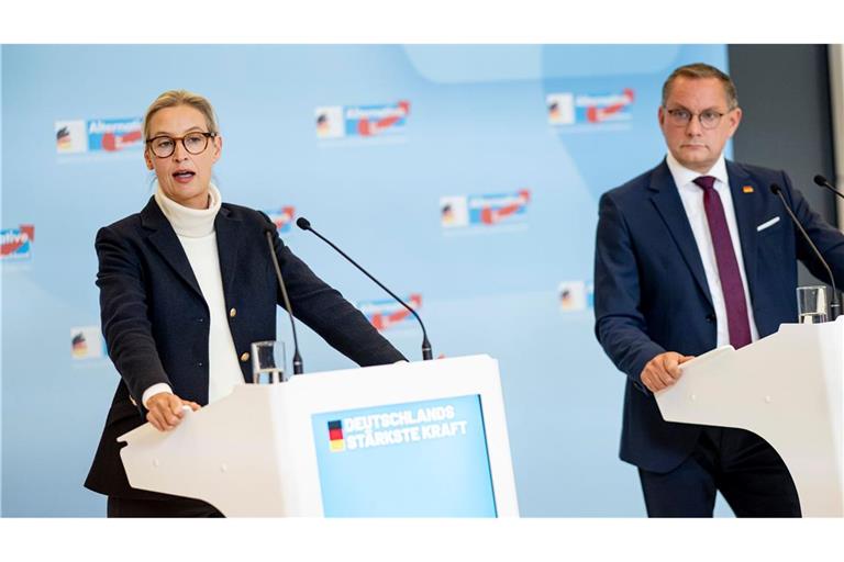 Versammeln die Bundestagsfraktion zur Klausur in Cottbus: Die AfD-Partei- und Fraktionschefs Alice Weidel und Tino Chrupalla. (Archivbild)
