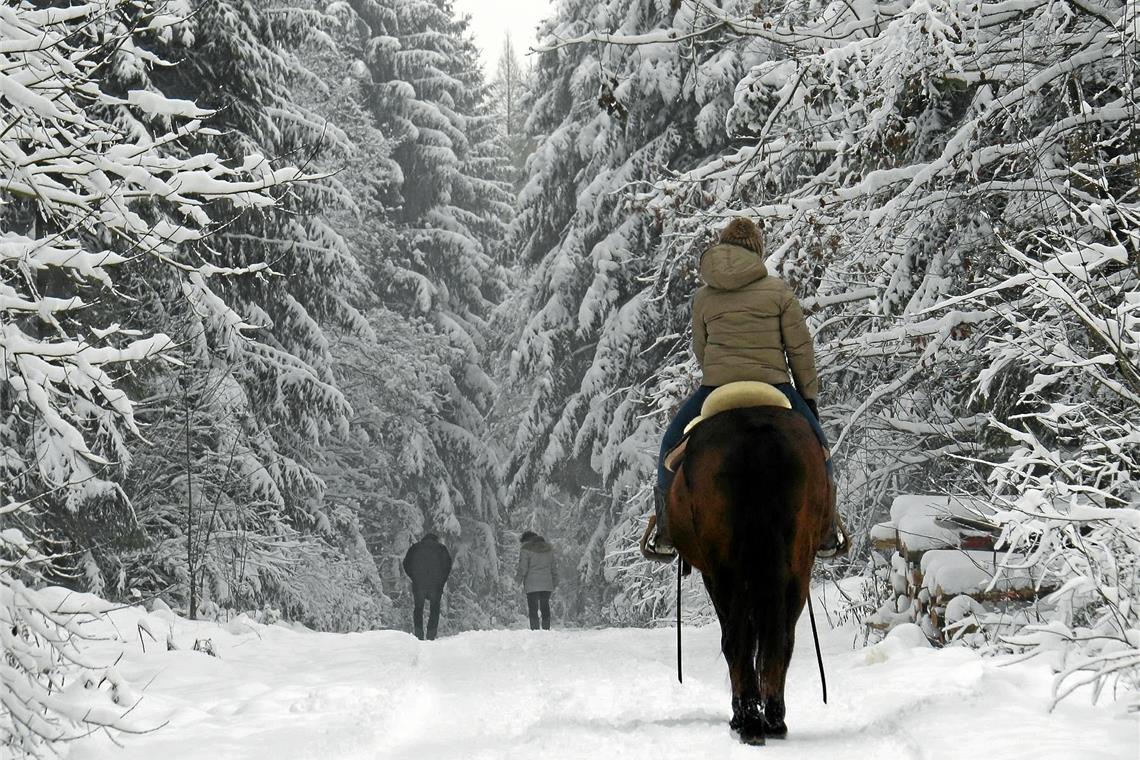 Von drauß’ vom Walde... Verschneit ist es im Wald natürlich besonders stimmungsvoll – wie hier zum Jahreswechsel auf dem Murrhardter Riesberg 2014. Aber auch sonst hält die Natur vieles bereit, das sich auch dieser Tage bei einem Ausflug und im Sinne weihnachtlicher Freuden besonders genießen lässt. Archivfoto: MZ