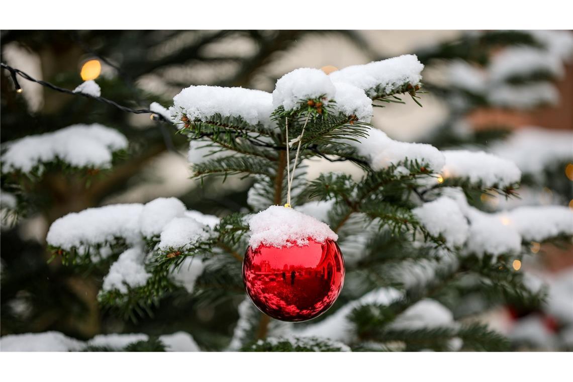 Verschneite Dächer und Bäume sind wohl auch diese Weihnachten nicht oft in Deutschland zu sehen. (Symbolbild)