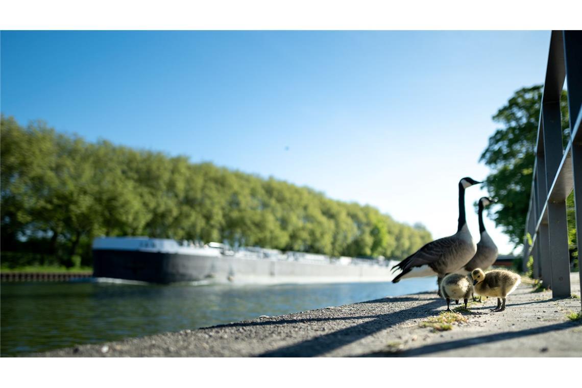 Viel Sonne und Temperaturen über 20 Grad sind in den nächsten Tagen zu erwarten.