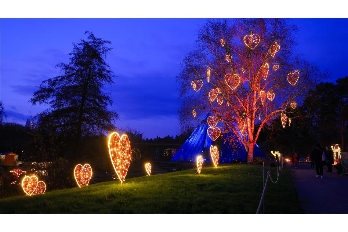 Bilder des Tages Viele bunte Lichter zu Weihnachten: Besucher sind im "Christmas Garden" im Loki-Schmidt-Garten in Hamburg unterwegs.