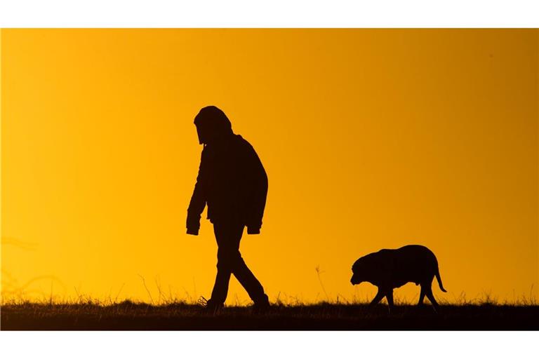 Viele Hundebesitzer bekommen es nicht mit, wenn ihre Tiere leiden. (Symbolbild)