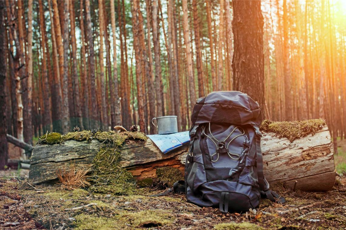 Viele wünschen sich, tief in den Wald einzutauchen und einmal eine Nacht dort zu verbringen. Das soll in rund einem Jahr auch im Naturpark Schwäbisch-Fränkischer Wald mit den Trekkingcamps möglich sein. Foto: Adobe Stock/Alex