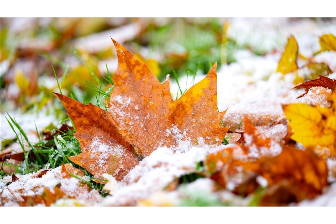 Erst stürmisch, dann kalt Vielerorts hielten sich die bunten Blätter auch noch im November an den Bäumen. Nun zerrt der Sturm sie herunter.