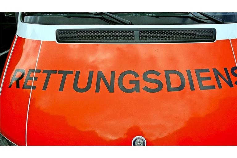 Vier Fahrzeuge des Rettungsdienstes brannten. (Symbobild)