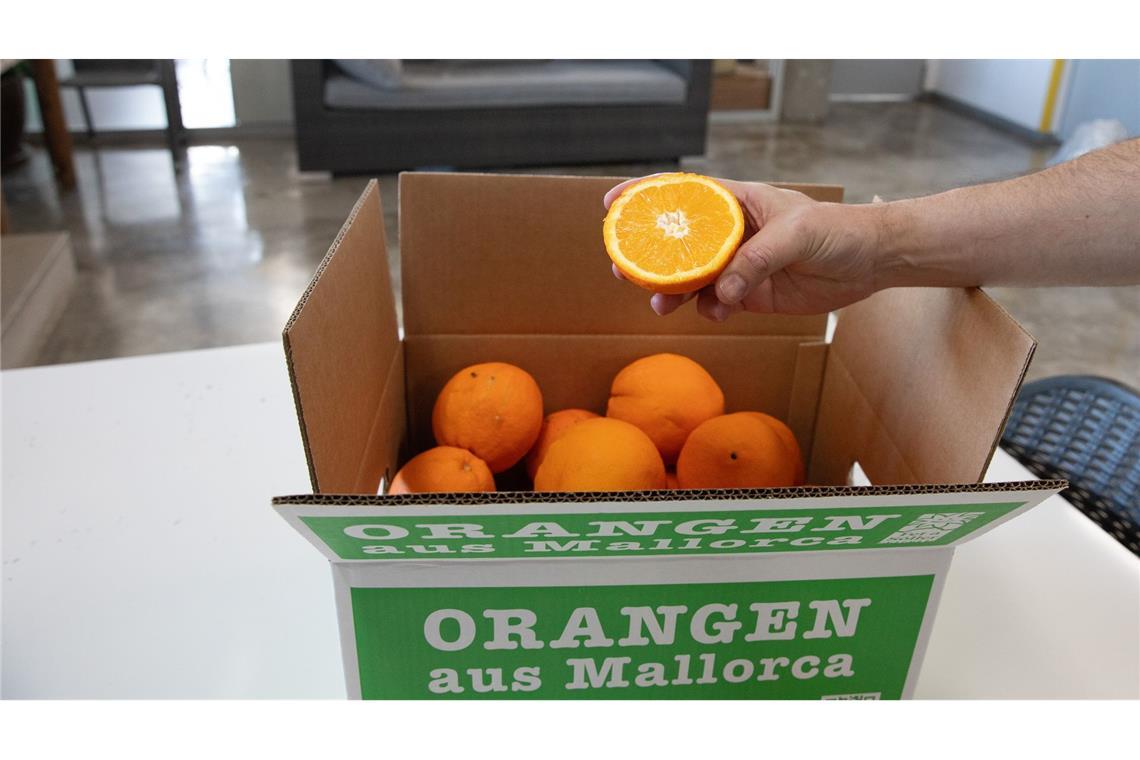 Bilder des Tages Vitamine für den Winter - Ismael, ein Arbeiter von "Fet a Soller" auf Mallorca, zeigt die Orangen in den Kisten, die an seine Kunden in Deutschland geschickt werden.
