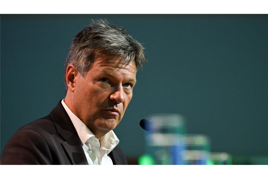 Robert Habeck verpasst Regierungserklärung von Olaf Scholz Vizekanzler Robert Habeck (Grüne) hatte eine Flugzeugpanne. (Archivbild)
