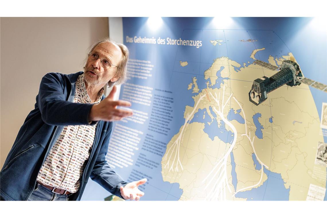 Vogelschützer Alfons Rolf Bense zeigt im Westfälischen Storchenmuseum eine Karte mit den Zugstrecken der Störche zu den Winterquartieren. Eine Hauptroute führt nach Westen über die Meerenge von Gibraltar nach Afrika. Viele dieser Westzieher fliegen aber gar nicht mehr so weit über das Mittelmeer. Die andere Hauptroute führt Richtung Osten über den Bosporus nach Afrika.