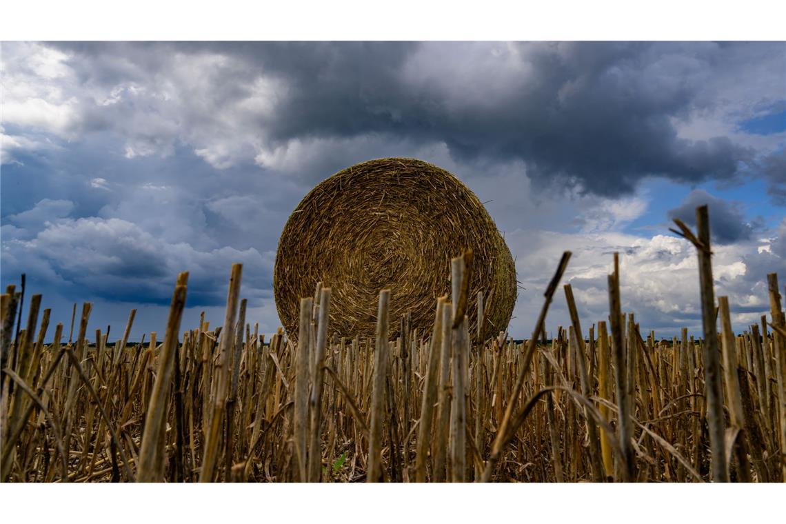 Bilder des Tages Volle Rolle: Eine Strohrolle liegt unter dunklen Wolken auf einem Feld im Landkreis Oder-Spree in Brandenburg.