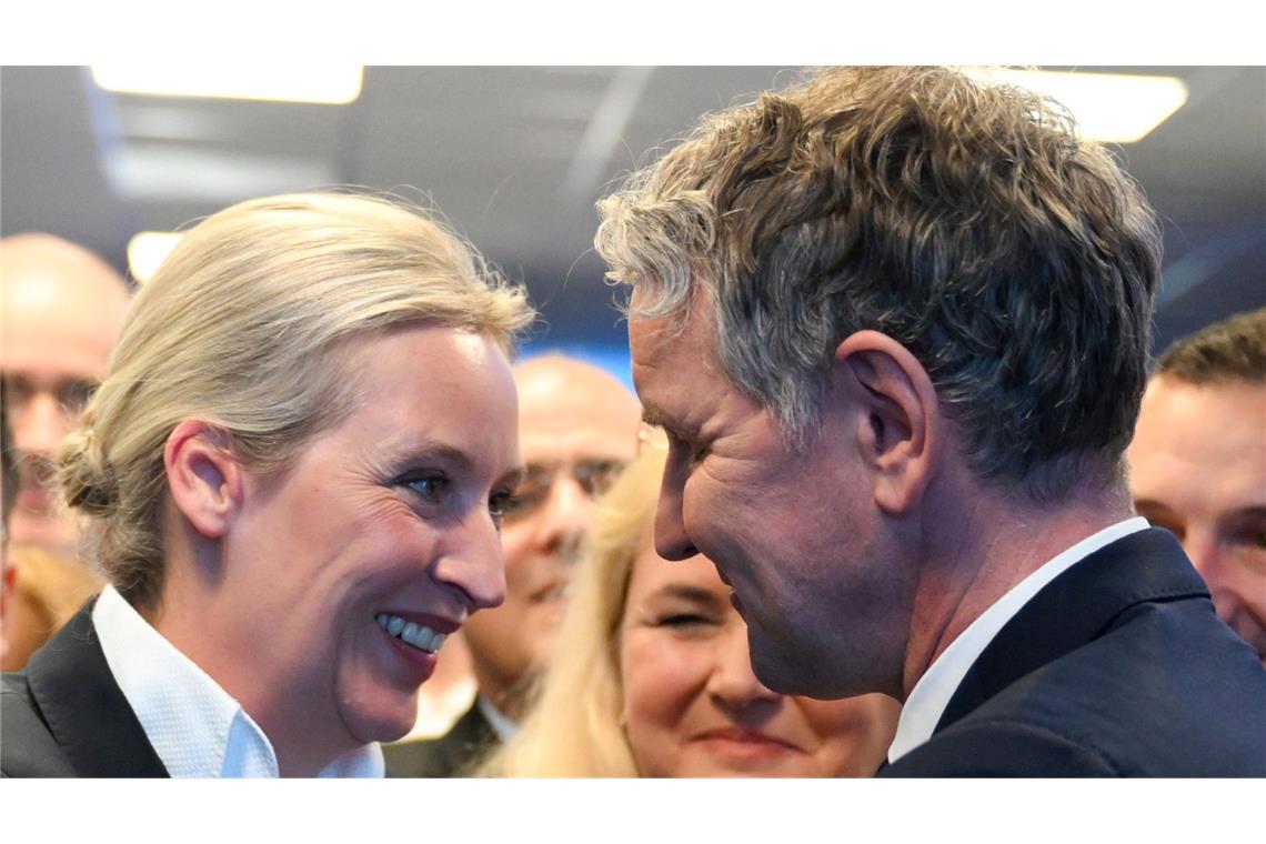 Gutachten: Chancen für AfD-Verbotsantrag stehen gut