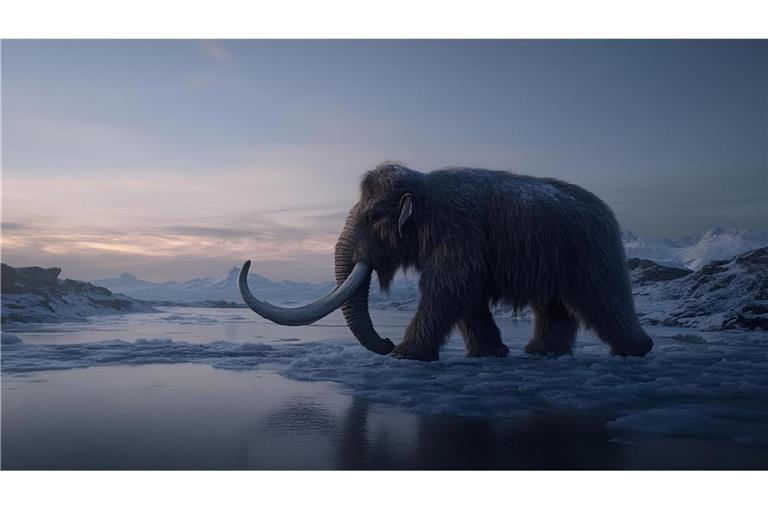 Vor 20.000 Jahren durchstreiften Wollhaarmammuts die eisigen Tundren Europas.