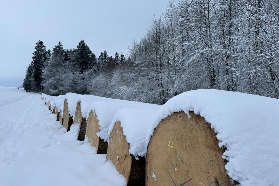 Vor allem in den höheren Lagen, wie in Kaisersbach-Gebenweiler, zieht sich eine Schneedecke über die Felder. Foto: privat